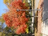 pa125906_reduced
