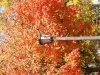pa125907_reduced