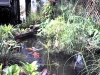 pic0024