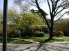 ptdc0030_smaller