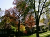 ptdc0036_smaller