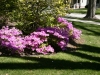 ptdc0040_smaller