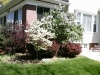 ptdc0041_smaller
