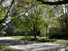 ptdc0042_smaller